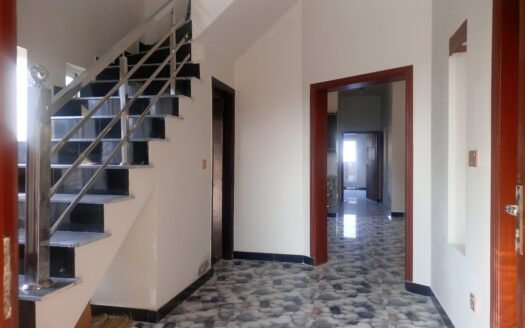 Ten Marla Brand New House for Sale in Dha 2.